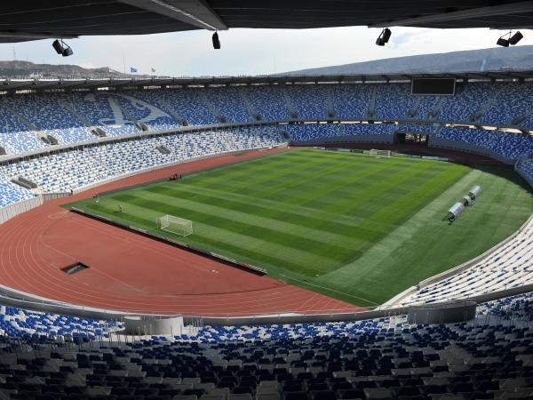 Boris Paichadze Dinamo Arena photo